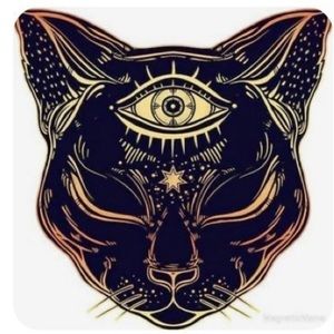 Meet your Posher, Stanley